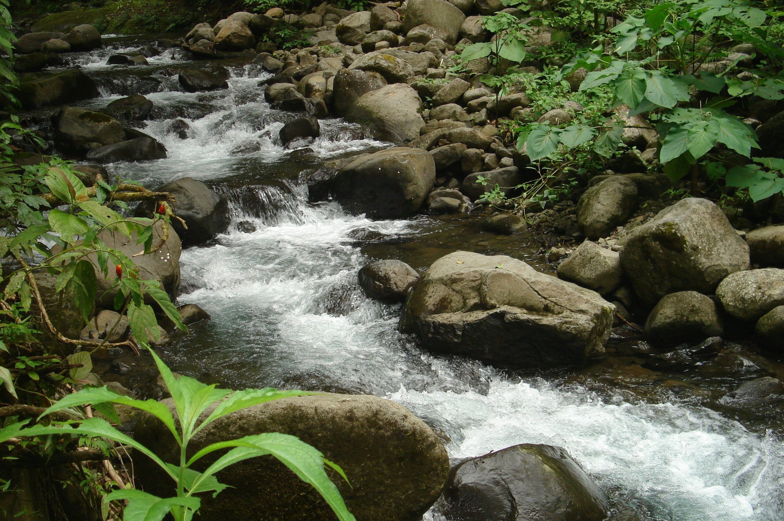 Dsc02993 Dsc02993