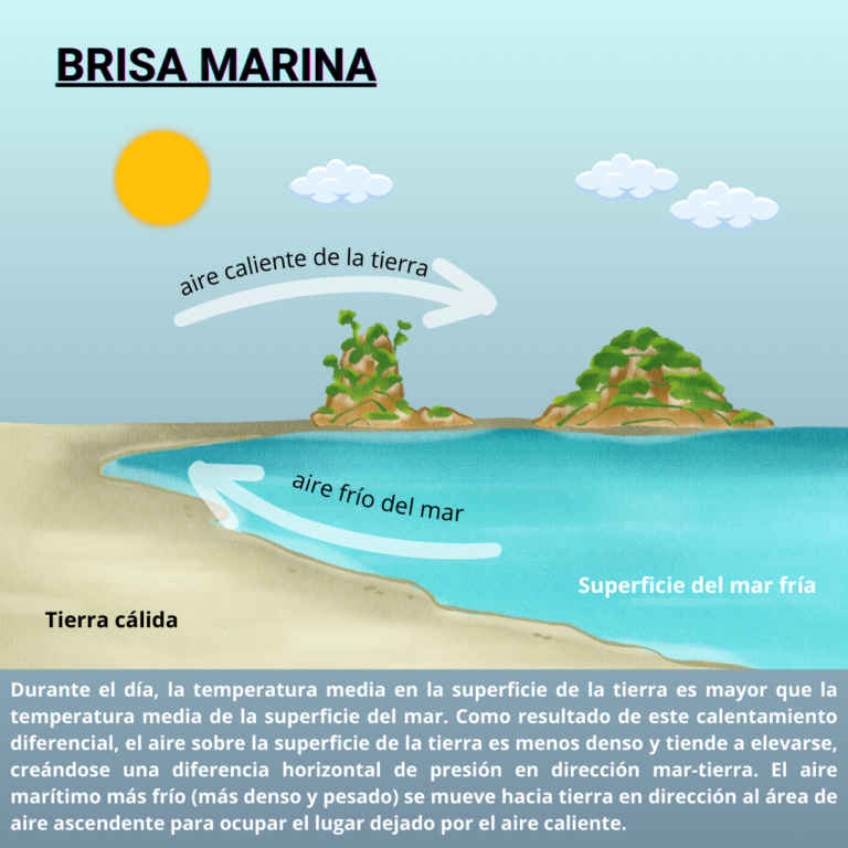 Brisa Marina